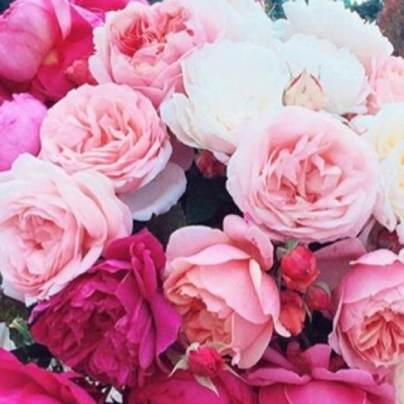 Meet your Posher, Jeni - Picture 1 of 1